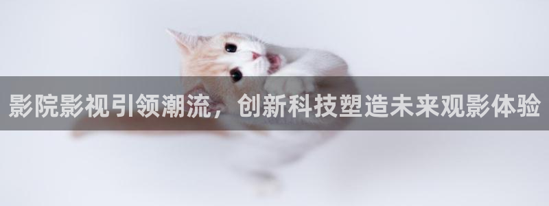 九九热久久免费视频观看