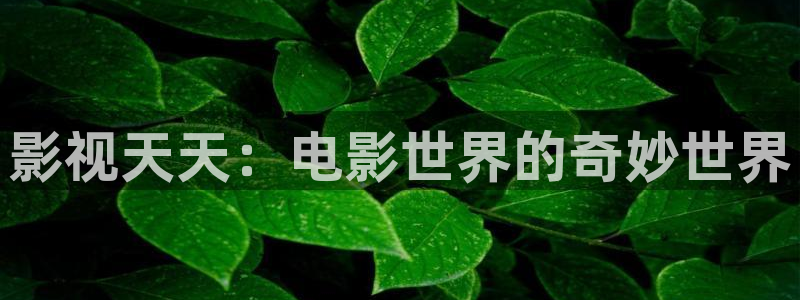 九九影视在线观看免费最新电视剧大全