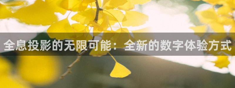 久久九九热免费视频