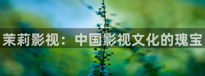 九九影院在线观看免费视频